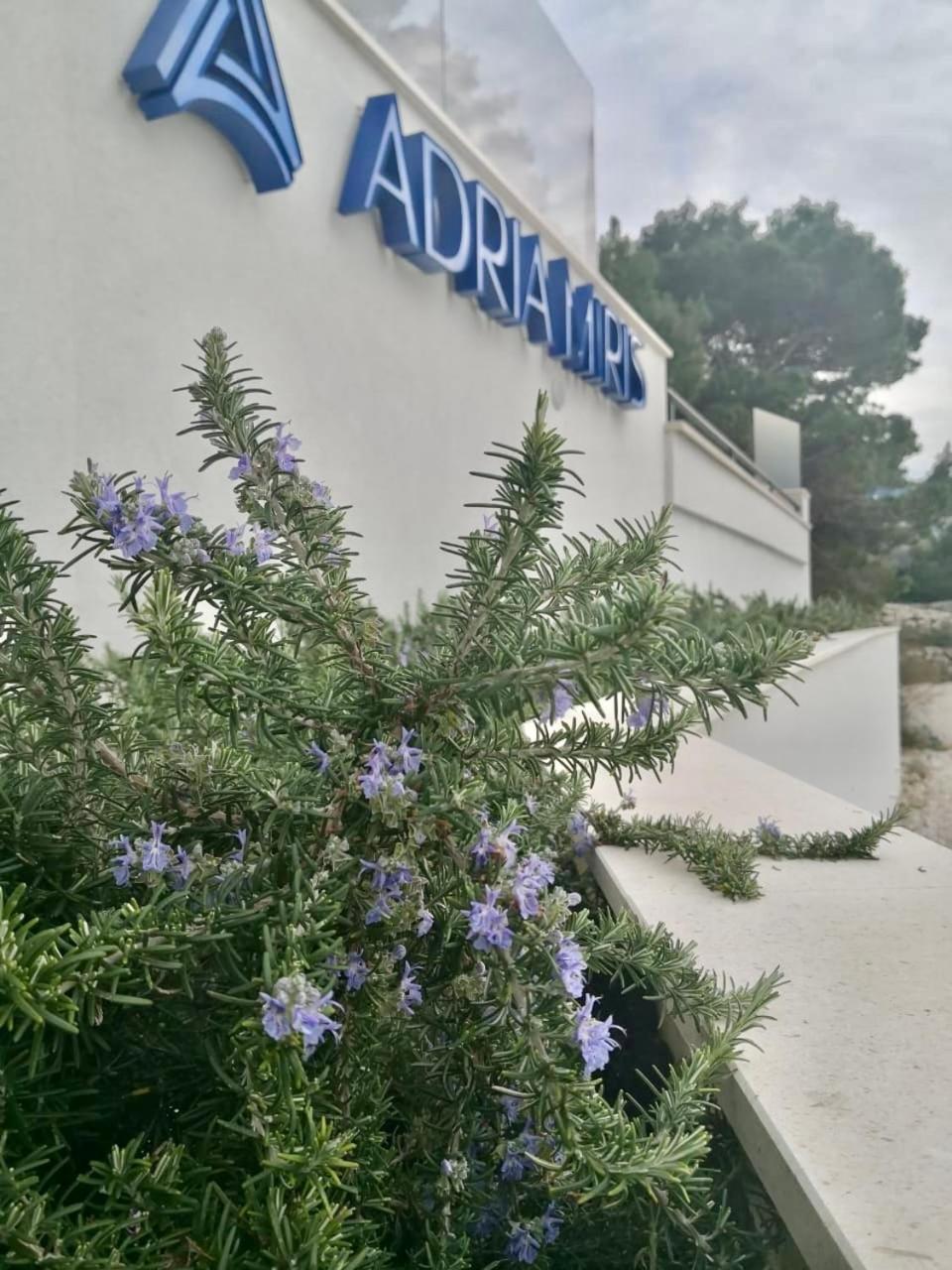 Adria Miris Apartments Драшнице Екстериор снимка